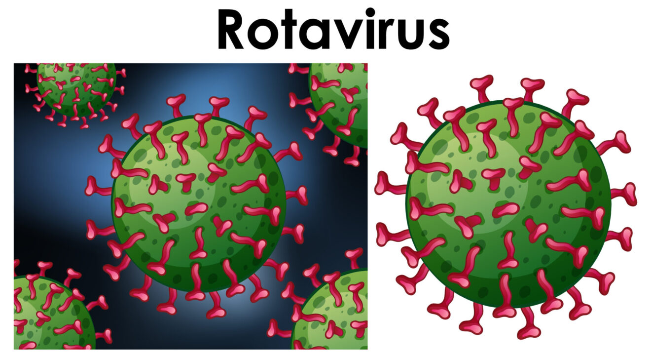 فيروس الروتا 